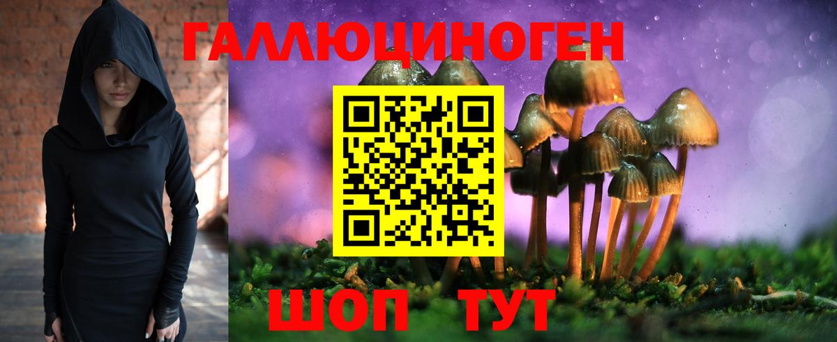 Галлюциногенные грибы MAGIC MUSHROOMS  Вход с VPN  Альметьевск 
