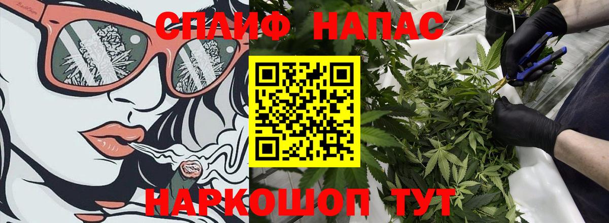МАРИХУАНА план  Вход с VPN  Альметьевск  Каннабис сатива  Шишки марихуана OG Kush 